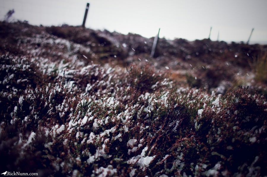 Scotland