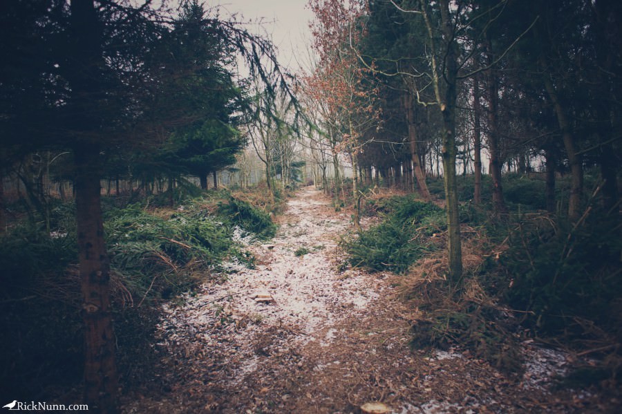 Kenwick Saturday — 02