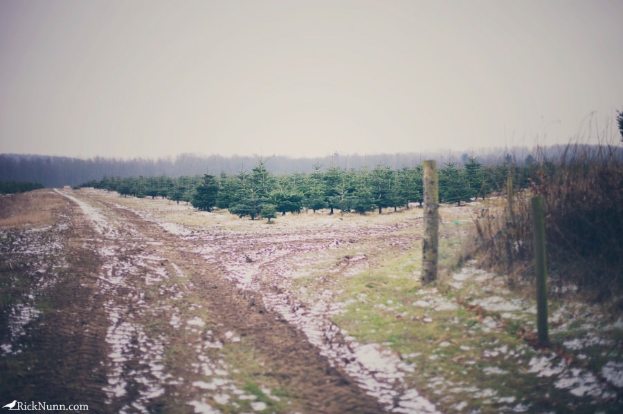 Kenwick Saturday — 08