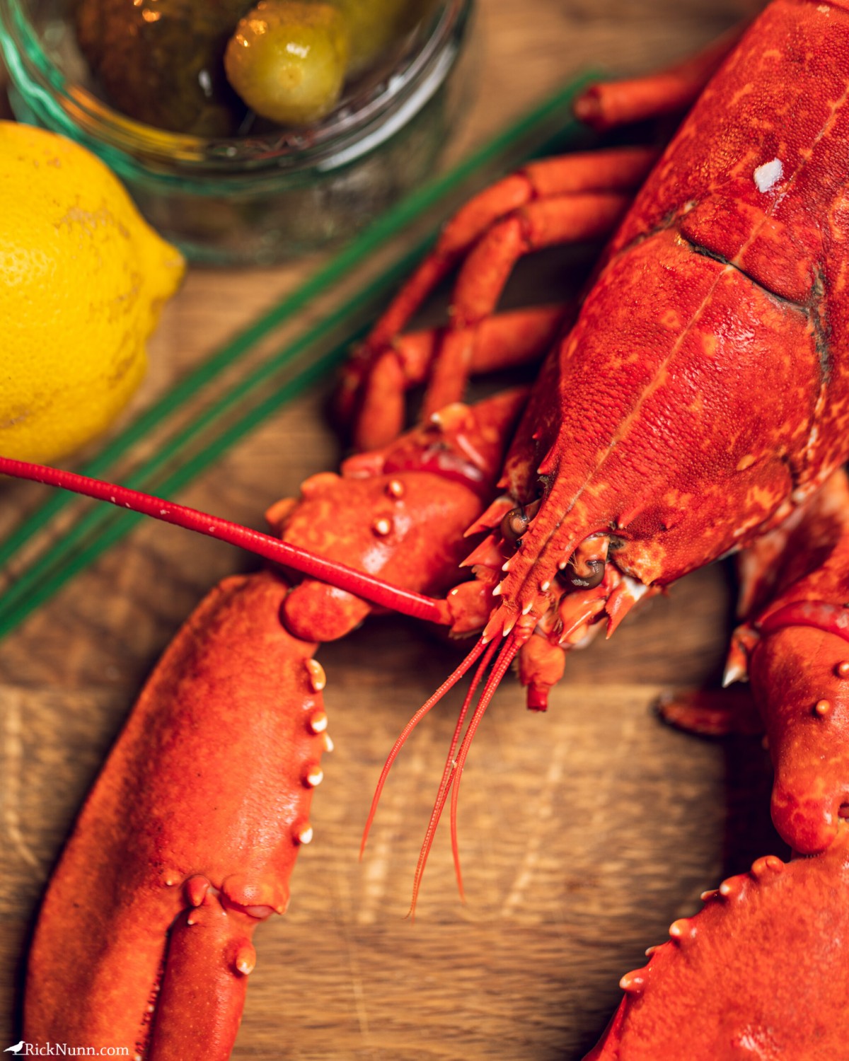 Connecticut Hot Lobster Roll - Connecticut Hot Lobster Roll 02 Photographed by Rick Nunn