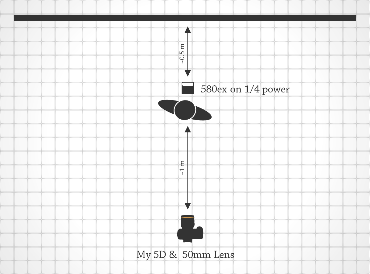 Lighting Diagram for I Climbed the Tree to See the World